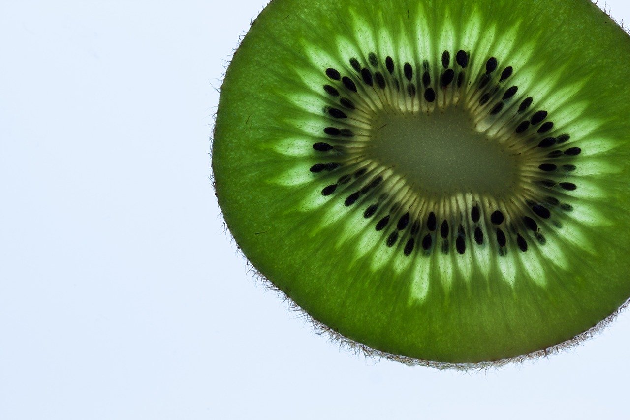 kiwi, fruit, disc