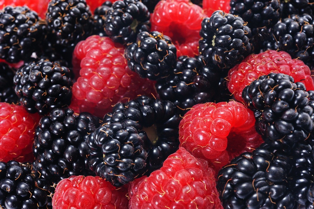 raspberries and blackberries, forest fruits, closeup