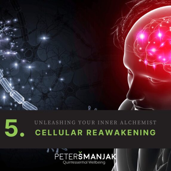 Website-Course-Graphics-1200-x-1200.jpg Website-Course-Graphics-1200-x-1200.jpg