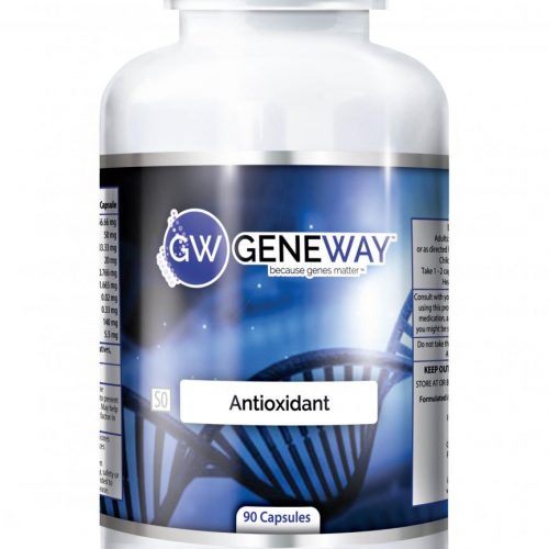 Geneway Antioxidant A 3D-01_0